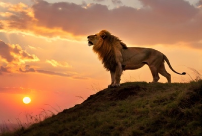 Africa on the Rise