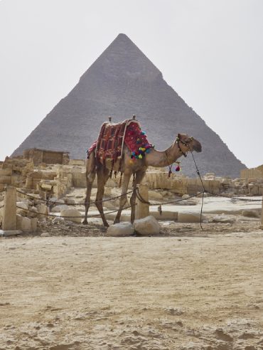 Ancient African Civilization